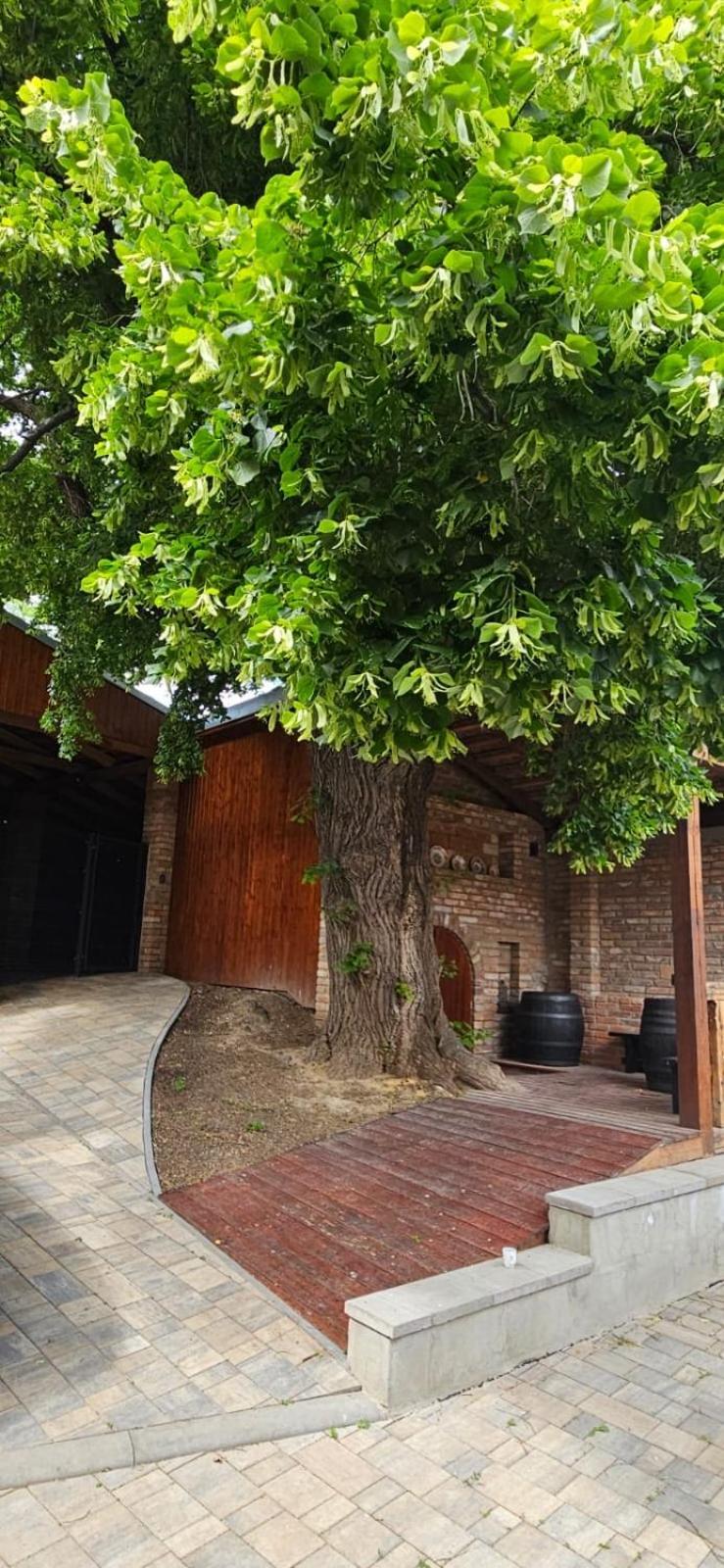 Apartmány Pulgary Bulhary Exteriér fotografie